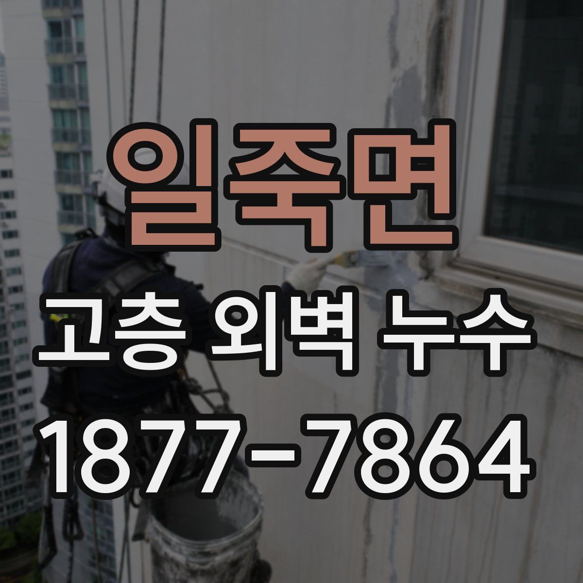 일죽면 고층 외벽 누수