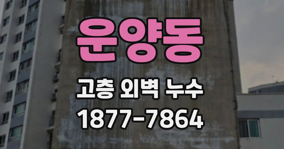 운양동 고층 외벽 누수