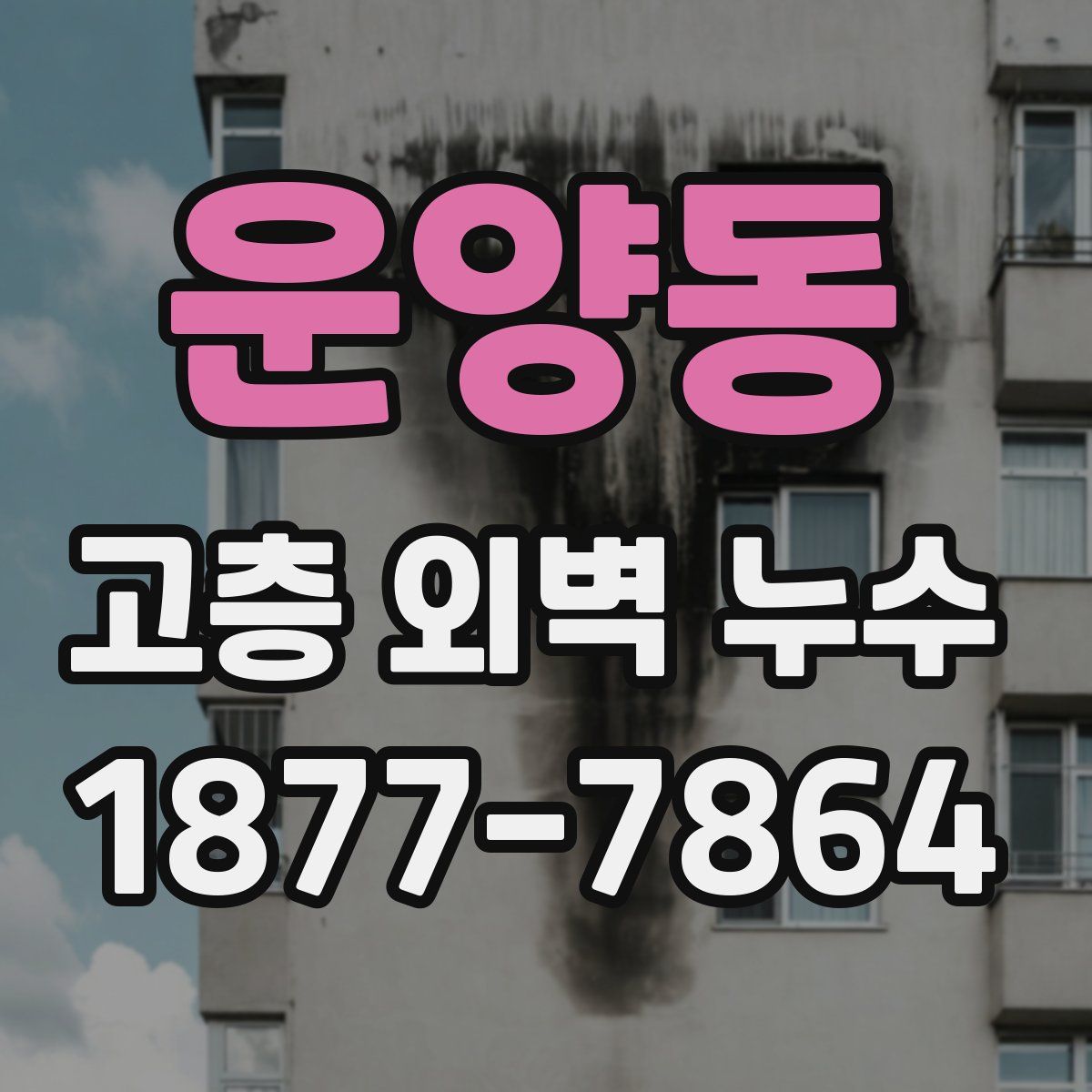 운양동 고층 외벽 누수