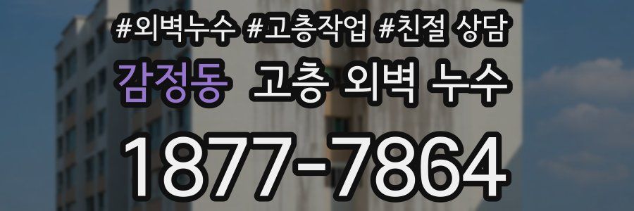 감정동 고층 외벽 누수