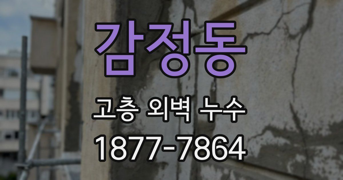 감정동 고층 외벽 누수