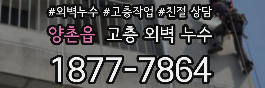 양촌읍 고층 외벽 누수