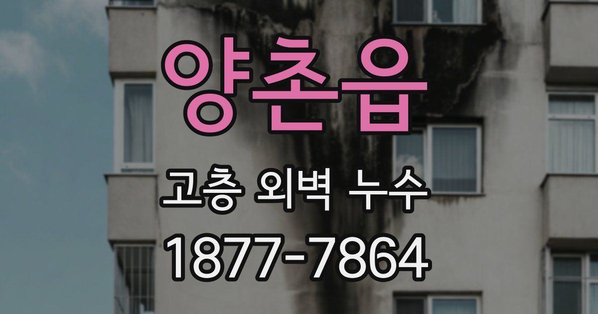 양촌읍 고층 외벽 누수