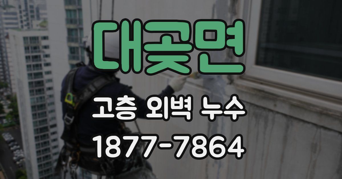 대곶면 고층 외벽 누수