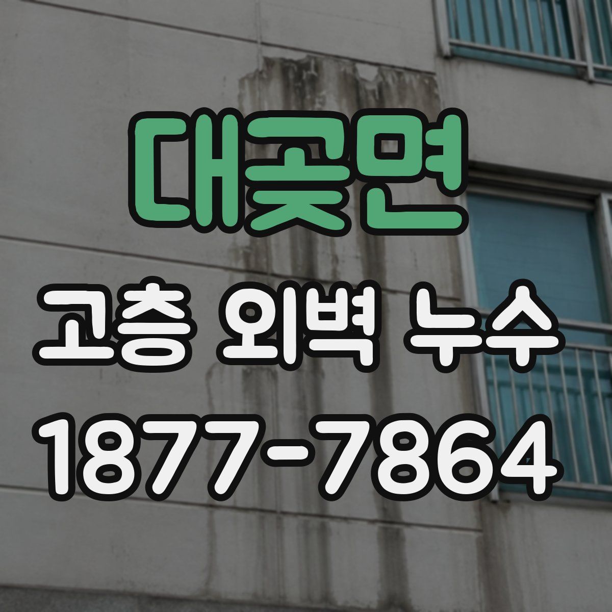 대곶면 고층 외벽 누수