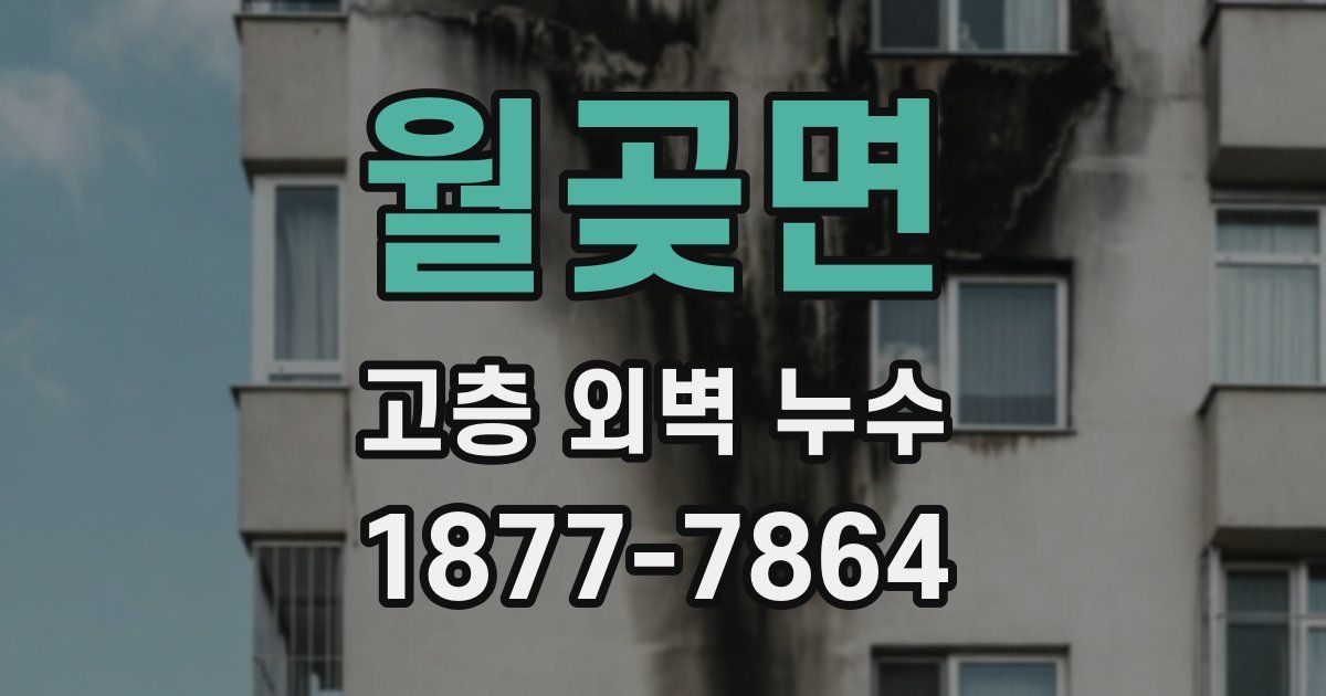 월곶면 고층 외벽 누수