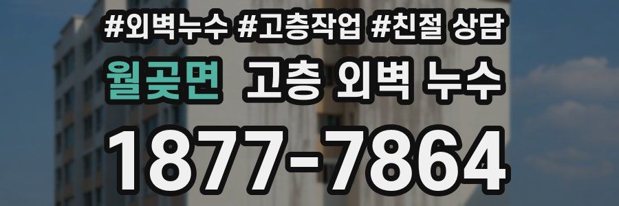 월곶면 고층 외벽 누수