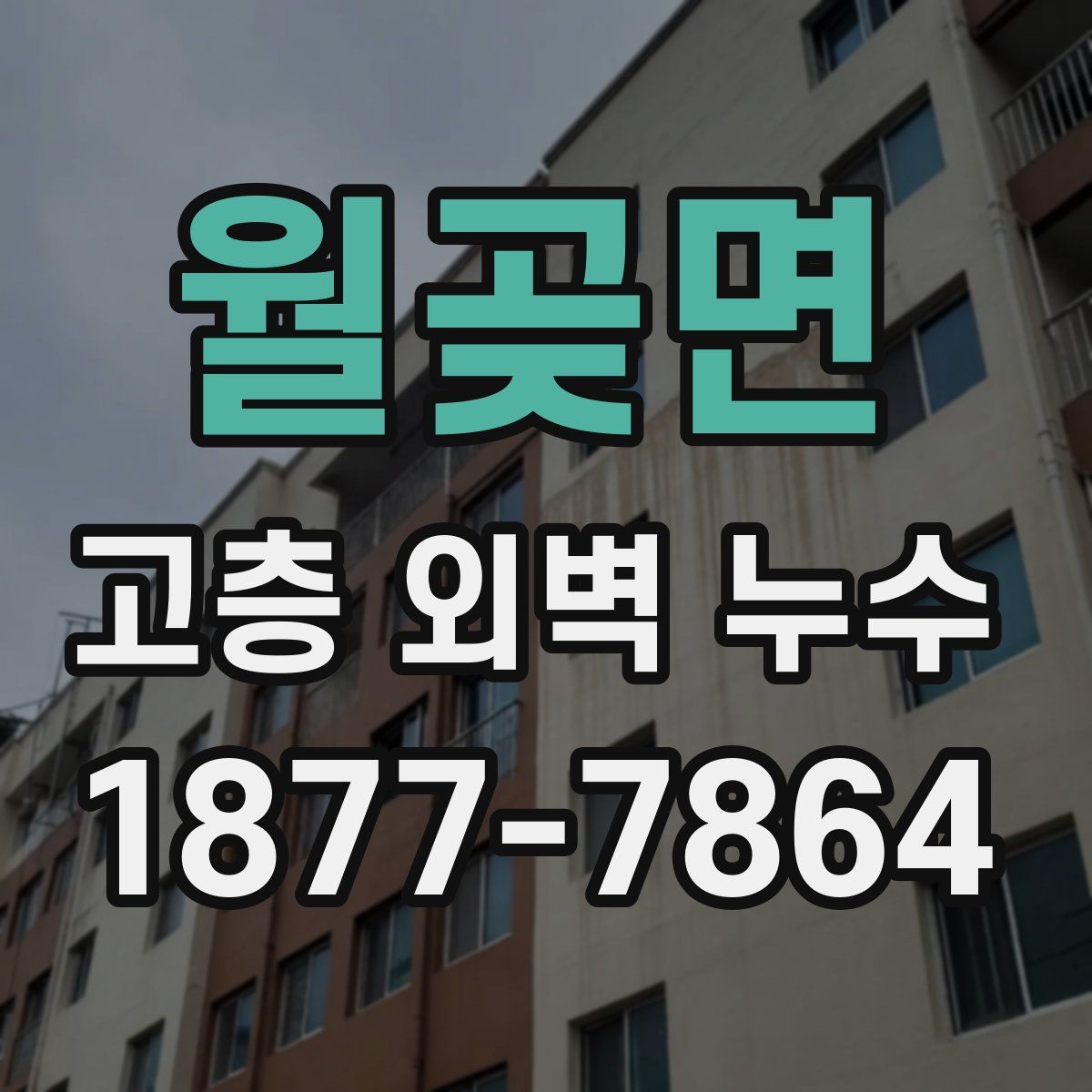 월곶면 고층 외벽 누수