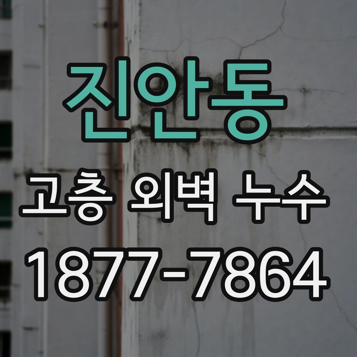 진안동 고층 외벽 누수 발생 후 피해 확산을 막는 절차