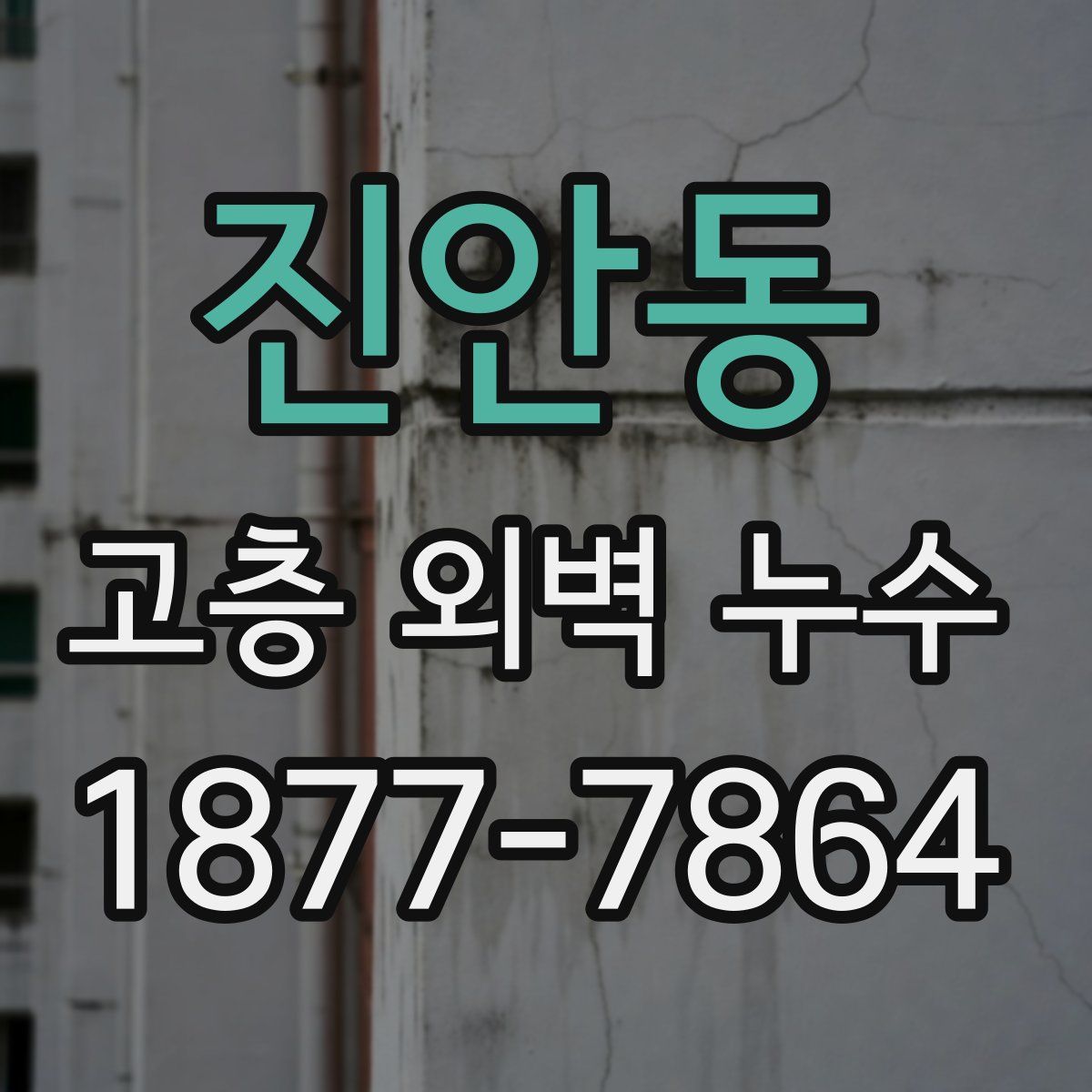 진안동 고층 외벽 누수