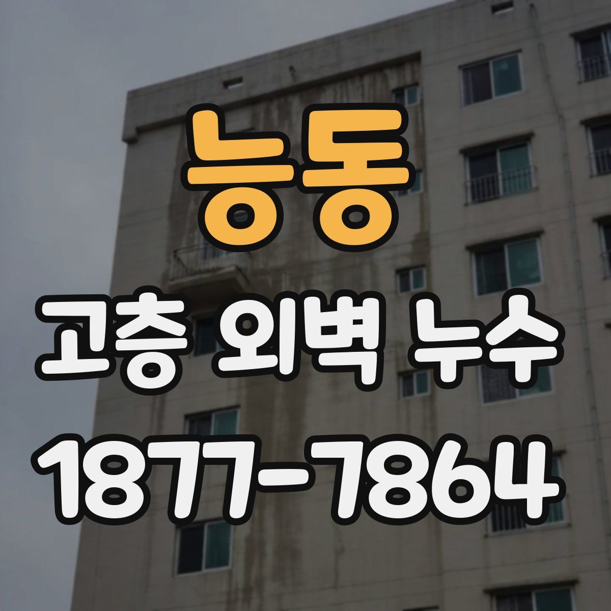 능동 고층 외벽 누수