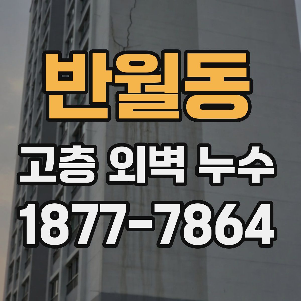 반월동 고층 외벽 누수
