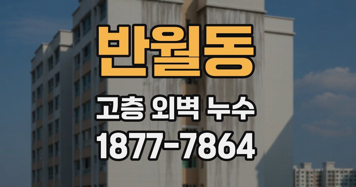 반월동 고층 외벽 누수