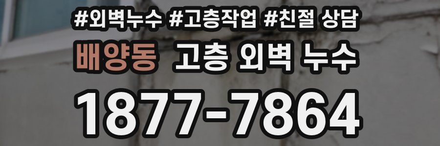 배양동 고층 외벽 누수