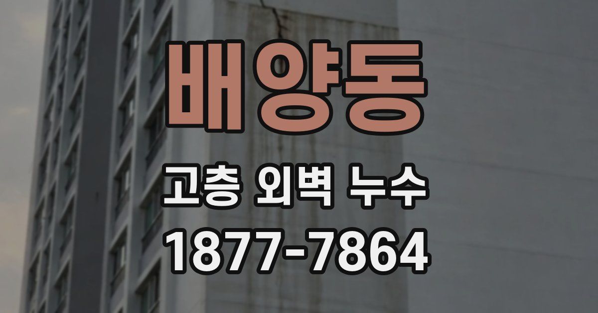 배양동 고층 외벽 누수