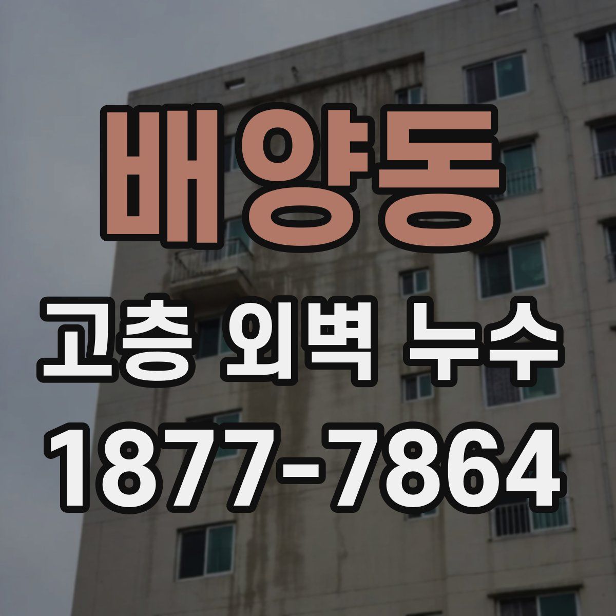 배양동 고층 외벽 누수