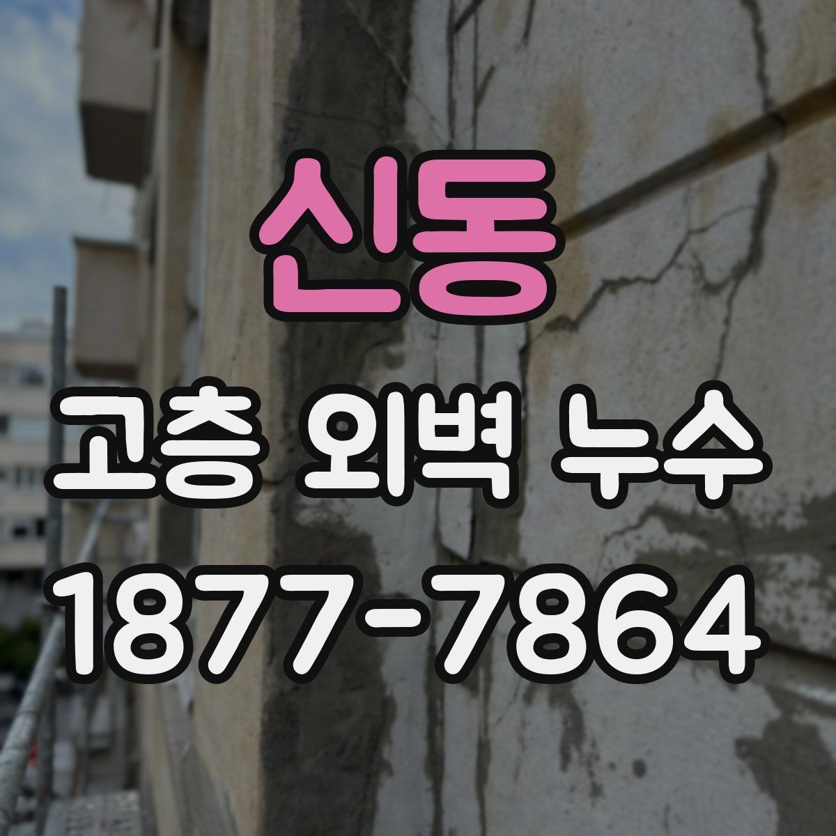신동 고층 외벽 누수