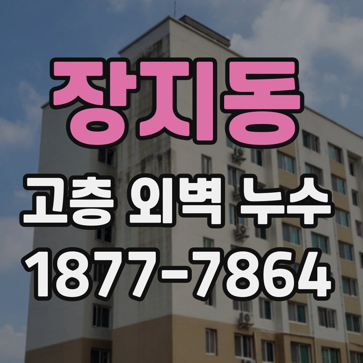 장지동 고층 외벽 누수