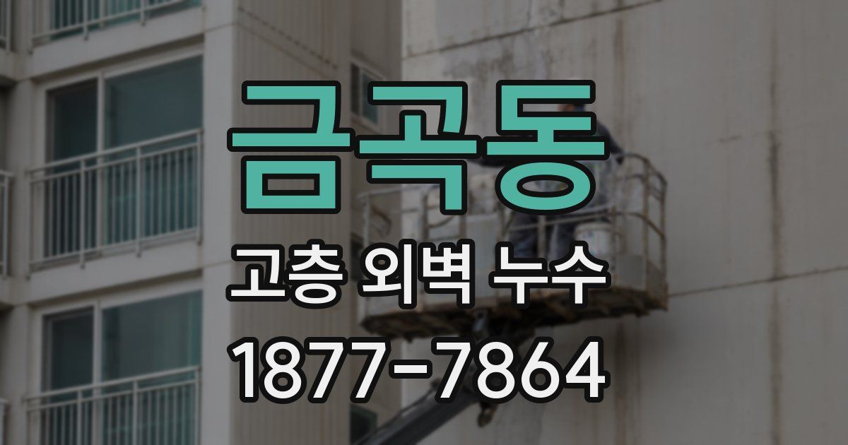 금곡동 고층 외벽 누수