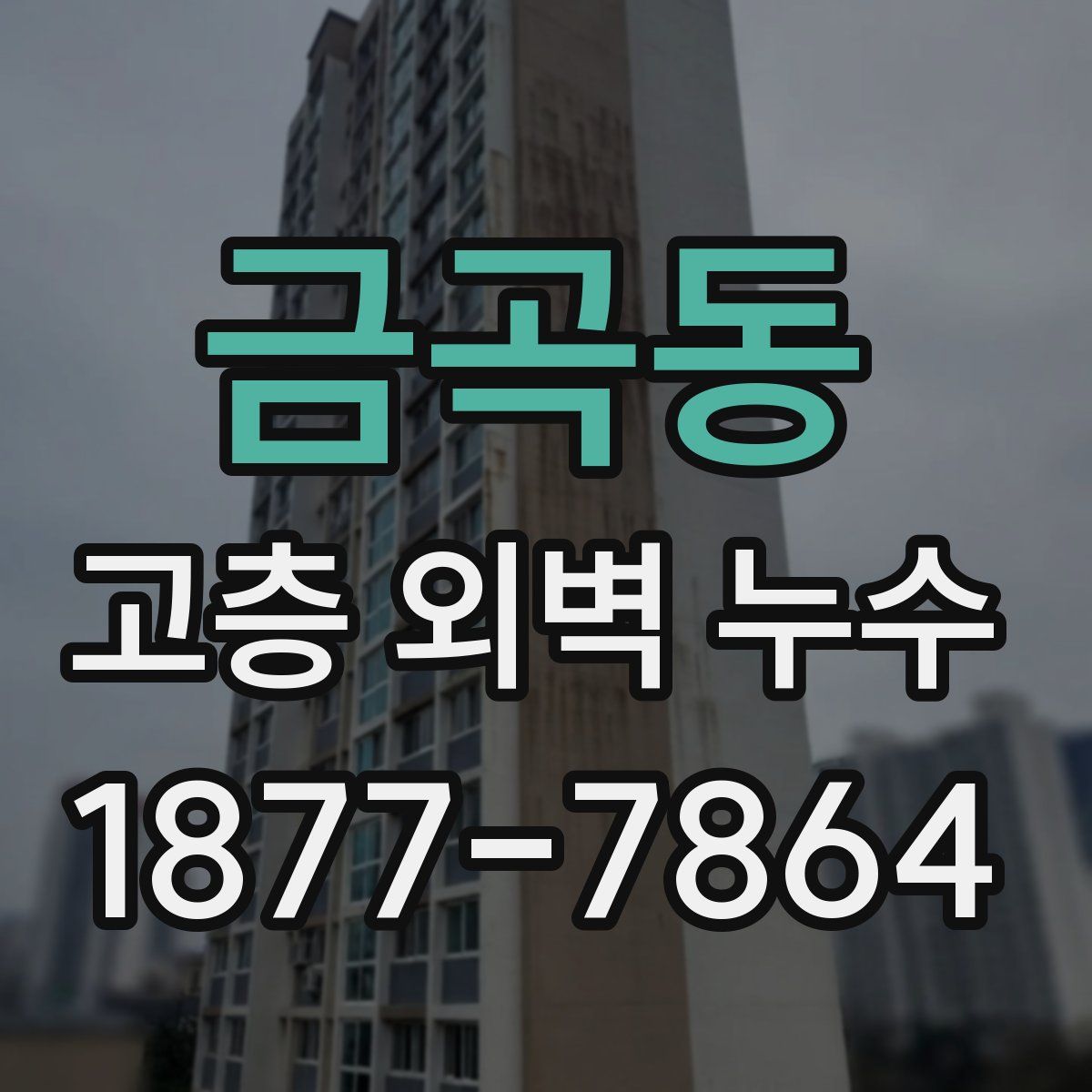 금곡동 고층 외벽 누수