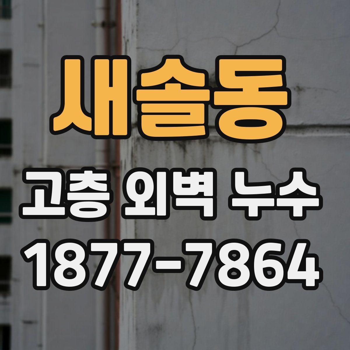 새솔동 고층 외벽 누수
