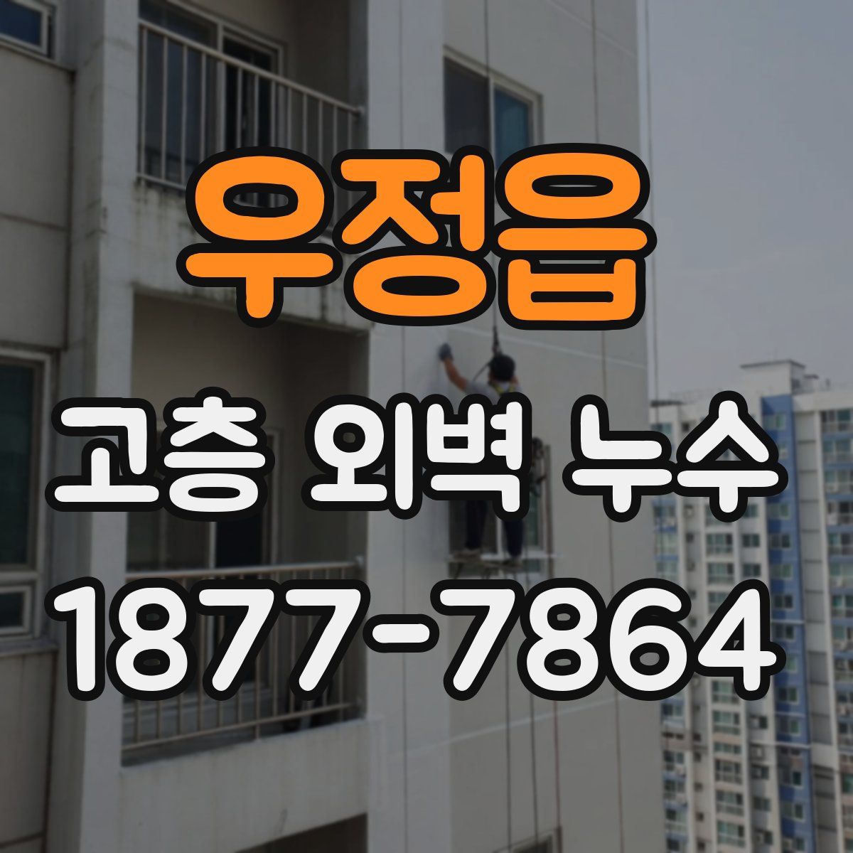 우정읍 고층 외벽 누수