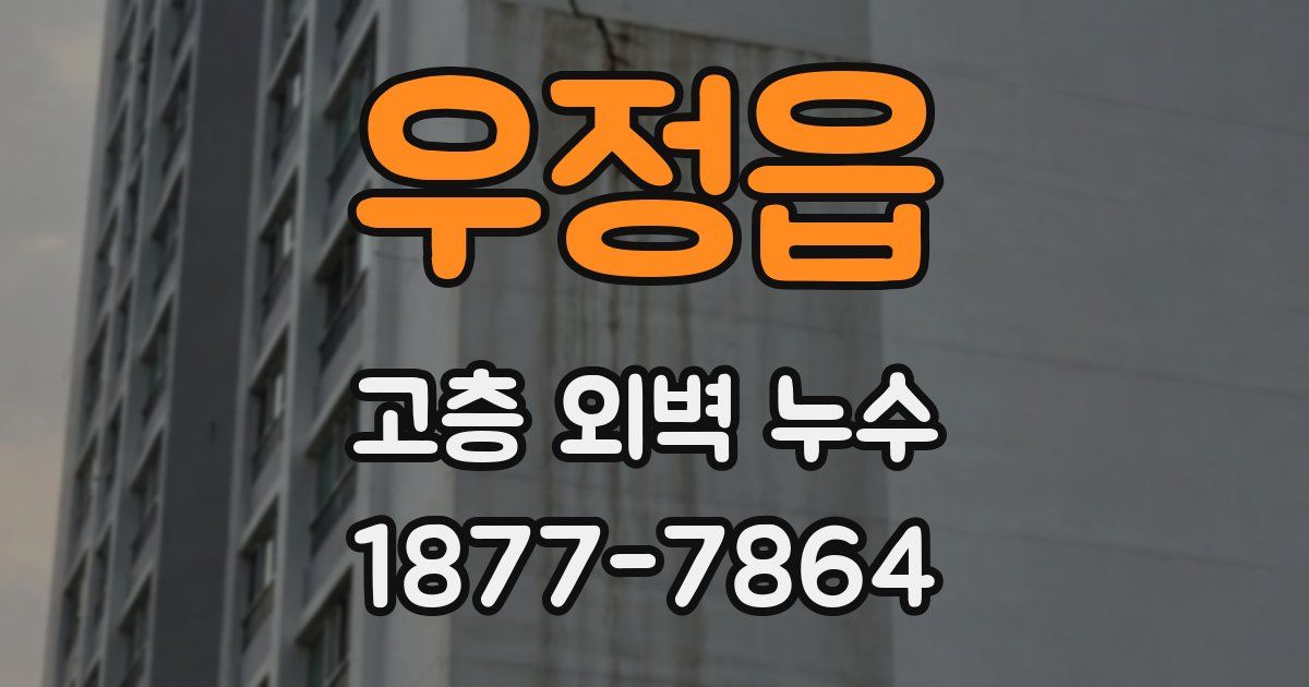 우정읍 고층 외벽 누수
