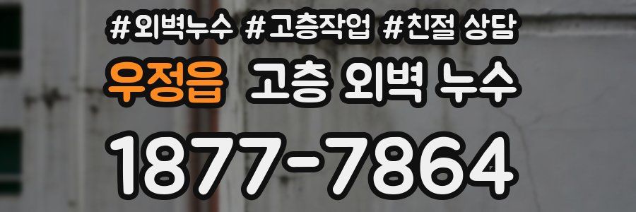 우정읍 고층 외벽 누수