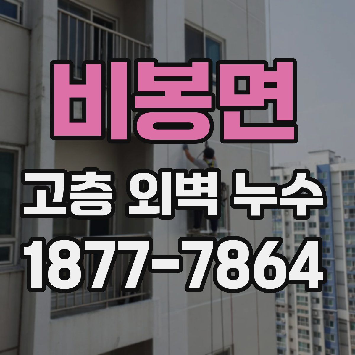 비봉면 고층 외벽 누수