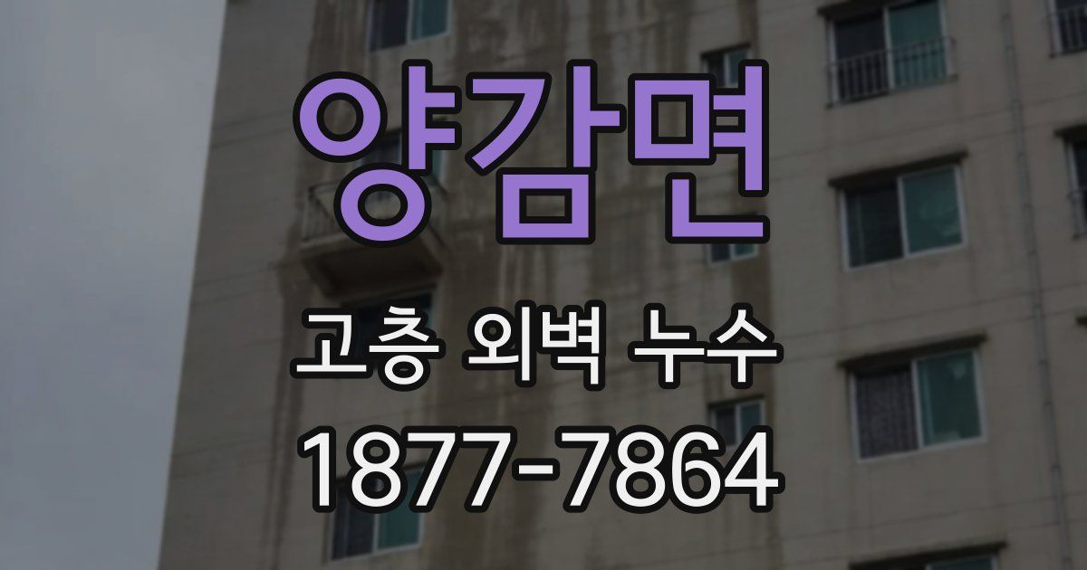 양감면 고층 외벽 누수