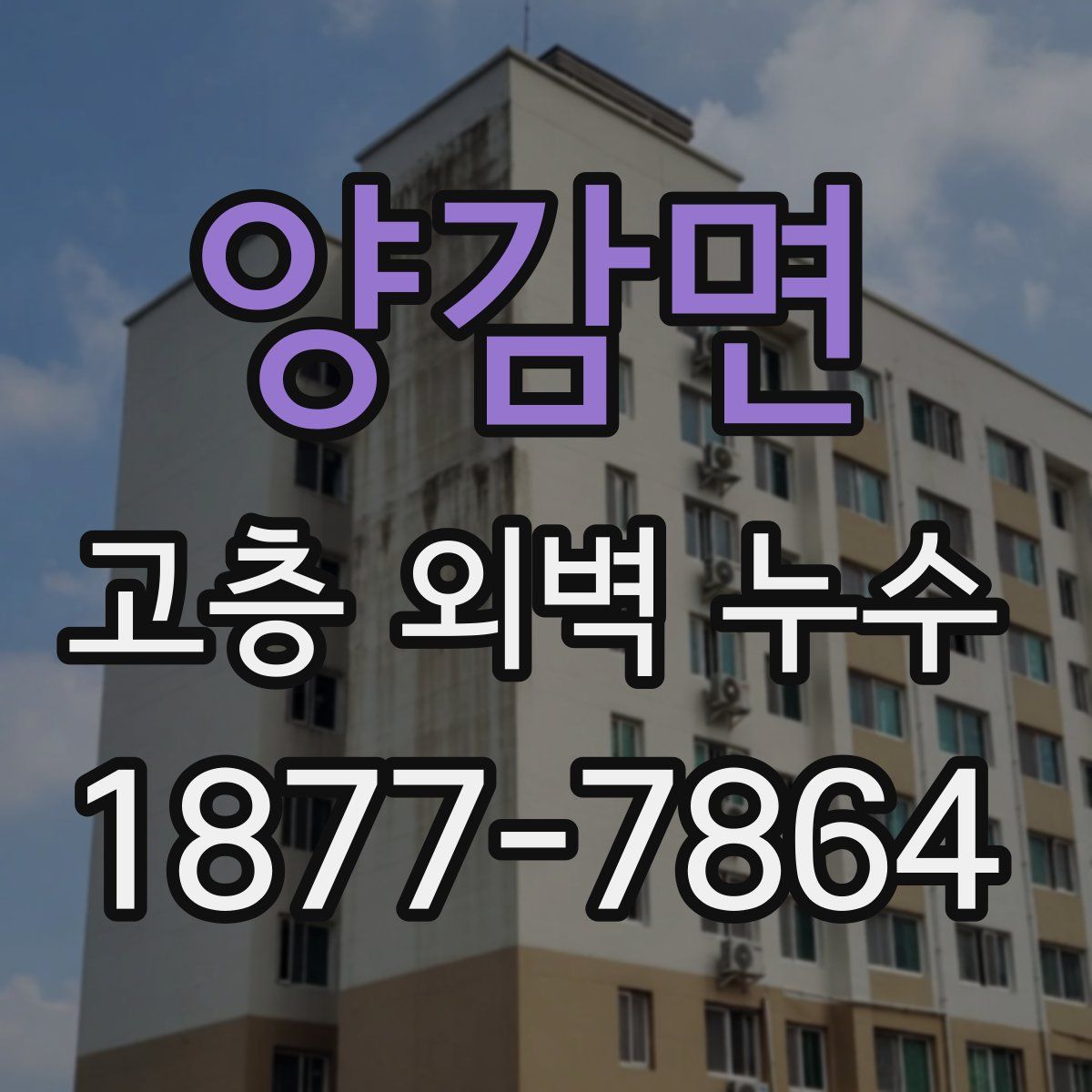 양감면 고층 외벽 누수