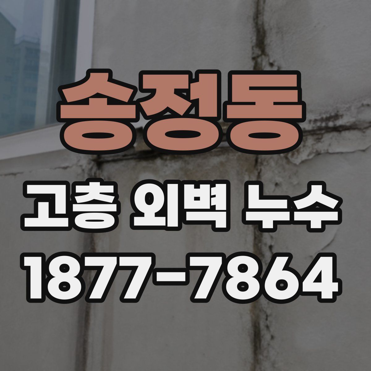 송정동 고층 외벽 누수