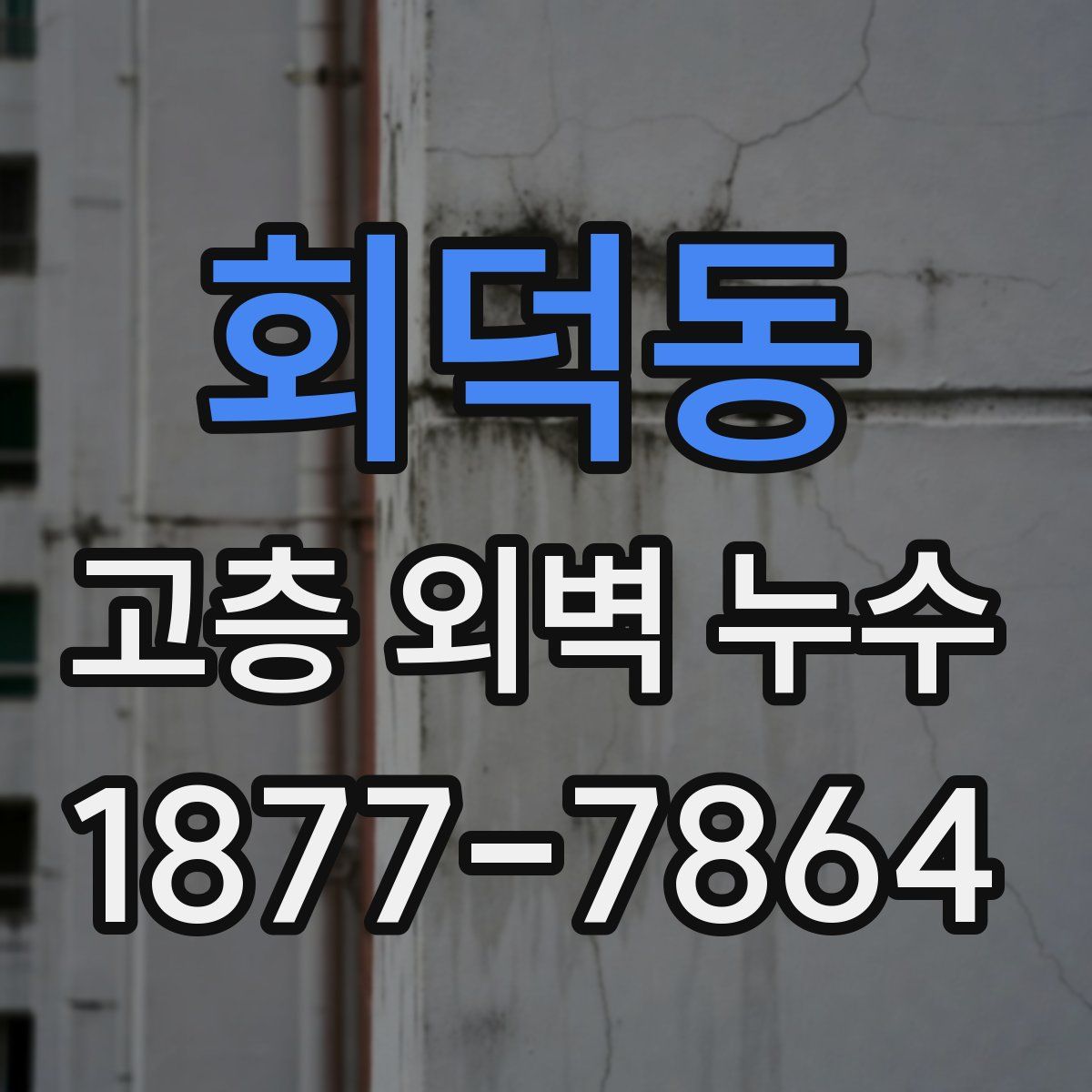회덕동 고층 외벽 누수