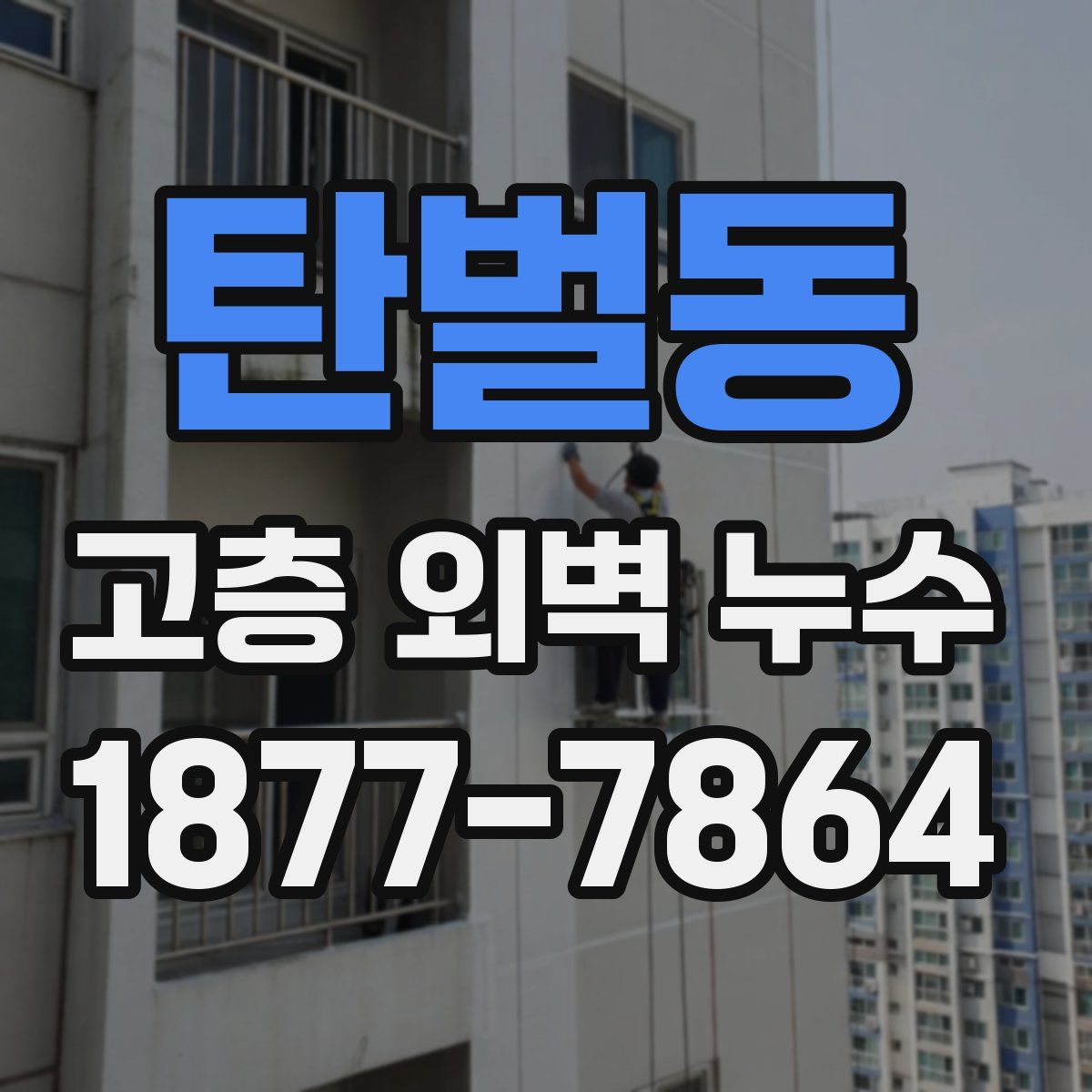 탄벌동 고층 외벽 누수