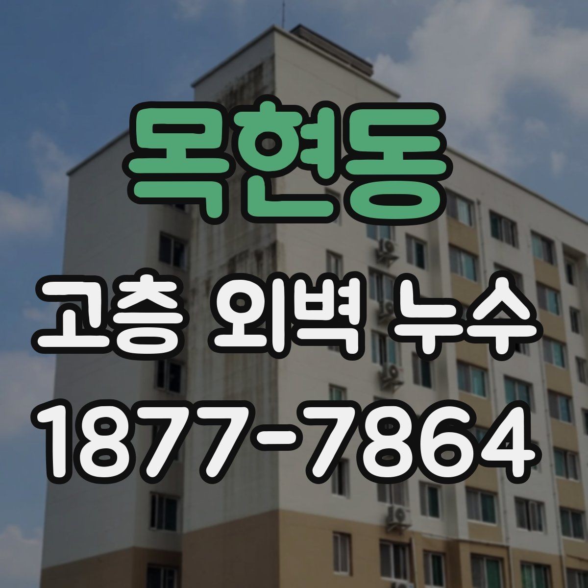 목현동 고층 외벽 누수 점검 결과를 바탕으로 한 보수 계획