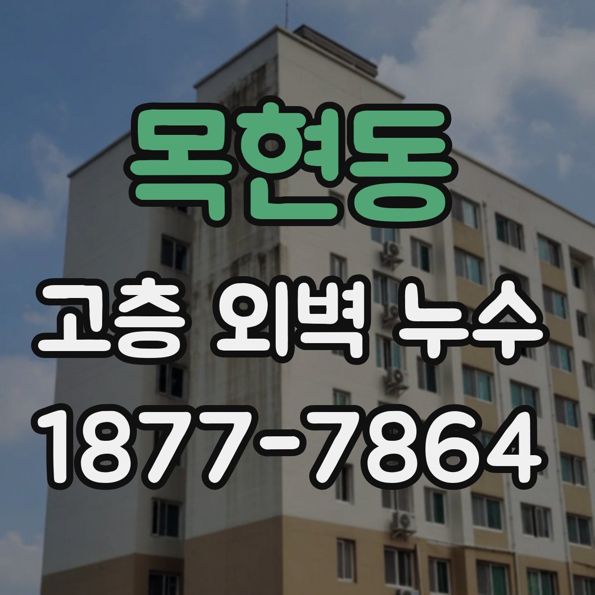 목현동 고층 외벽 누수