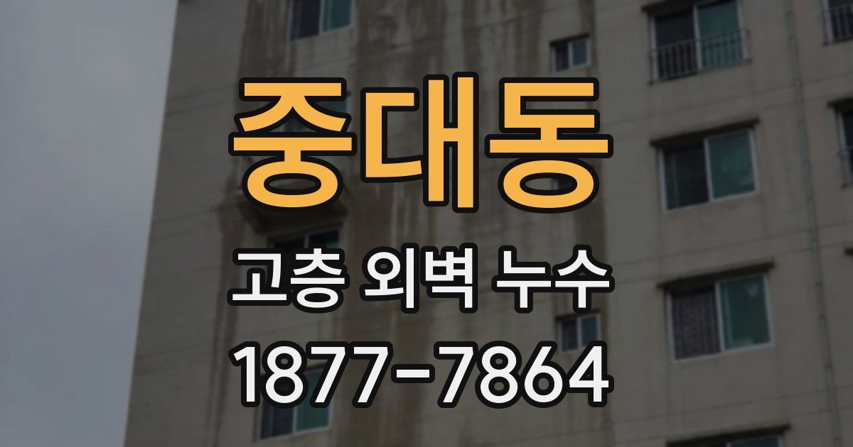 중대동 고층 외벽 누수