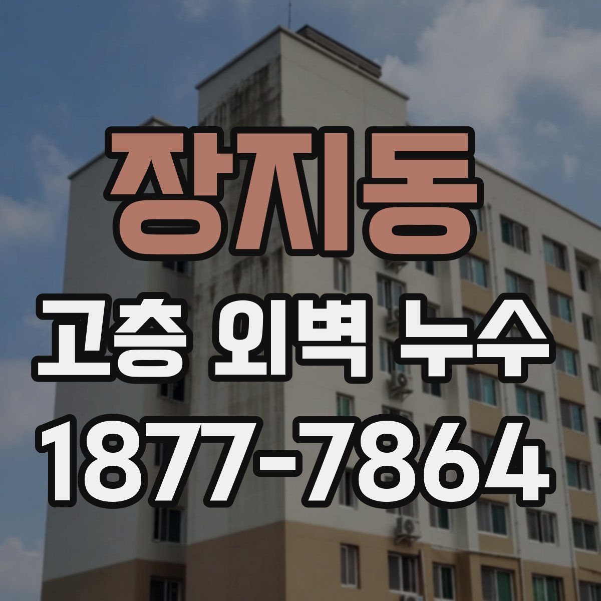 장지동 고층 외벽 누수