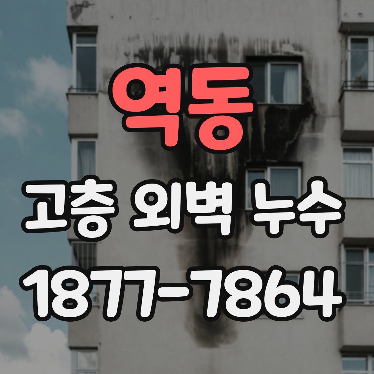 역동 고층 외벽 누수