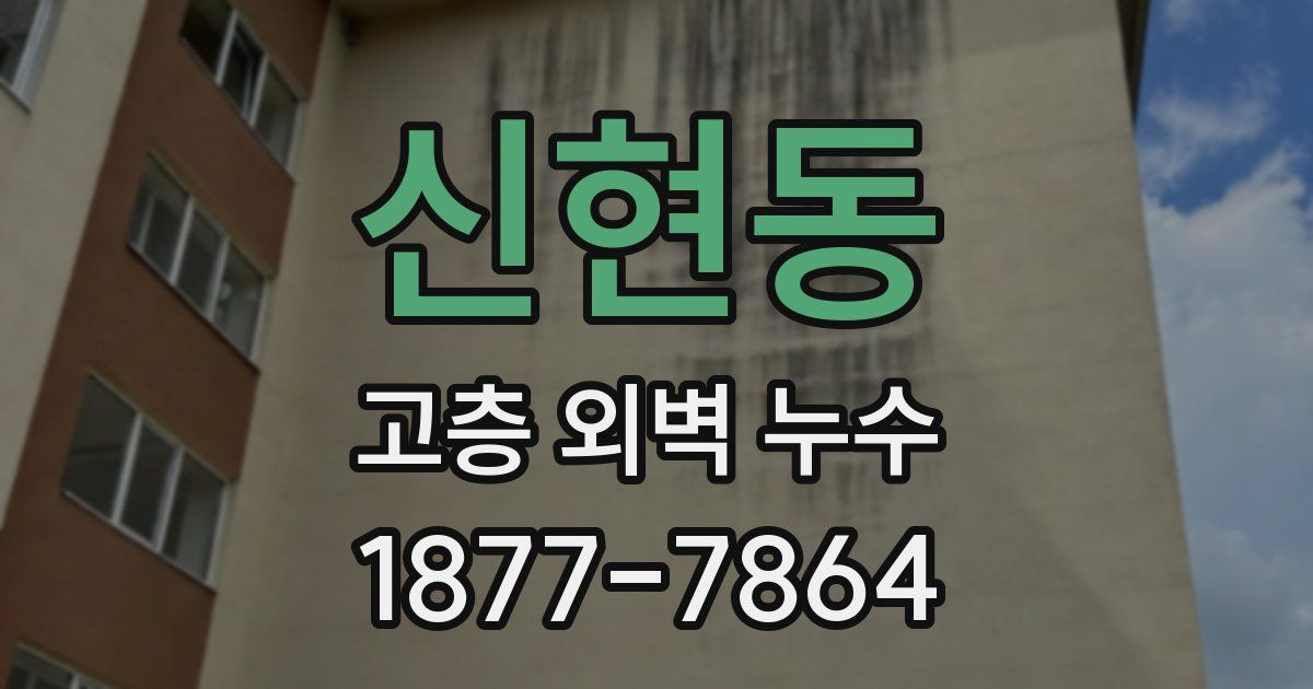 신현동 고층 외벽 누수