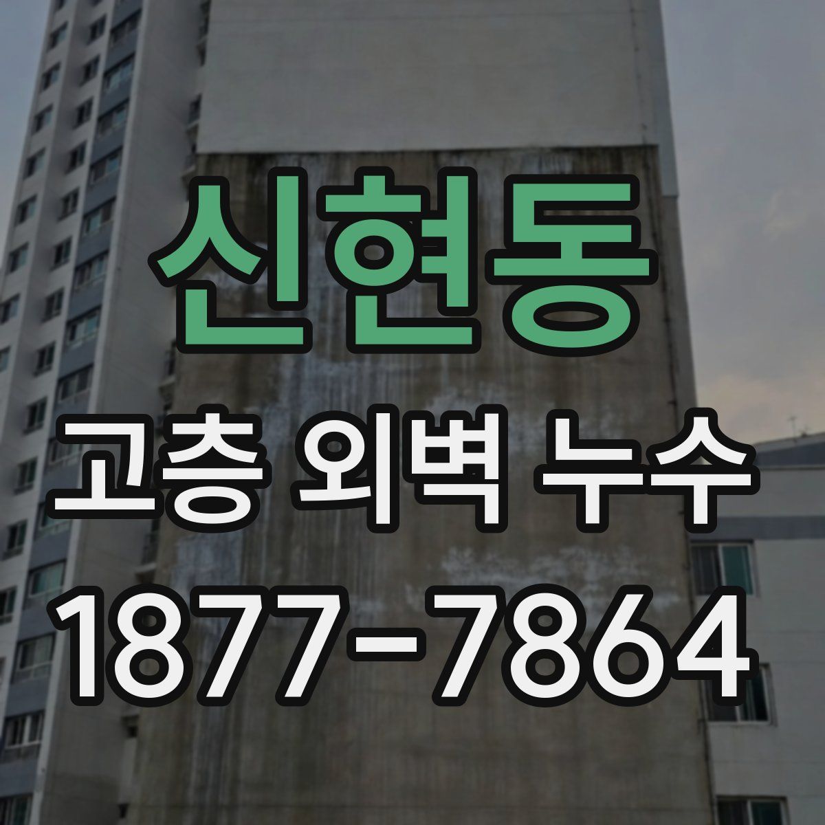 신현동 고층 외벽 누수