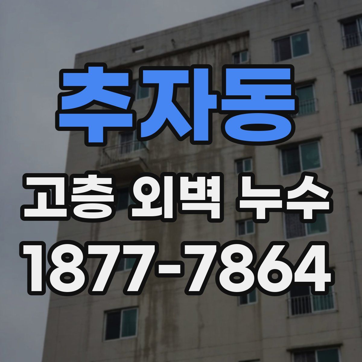 추자동 고층 외벽 누수