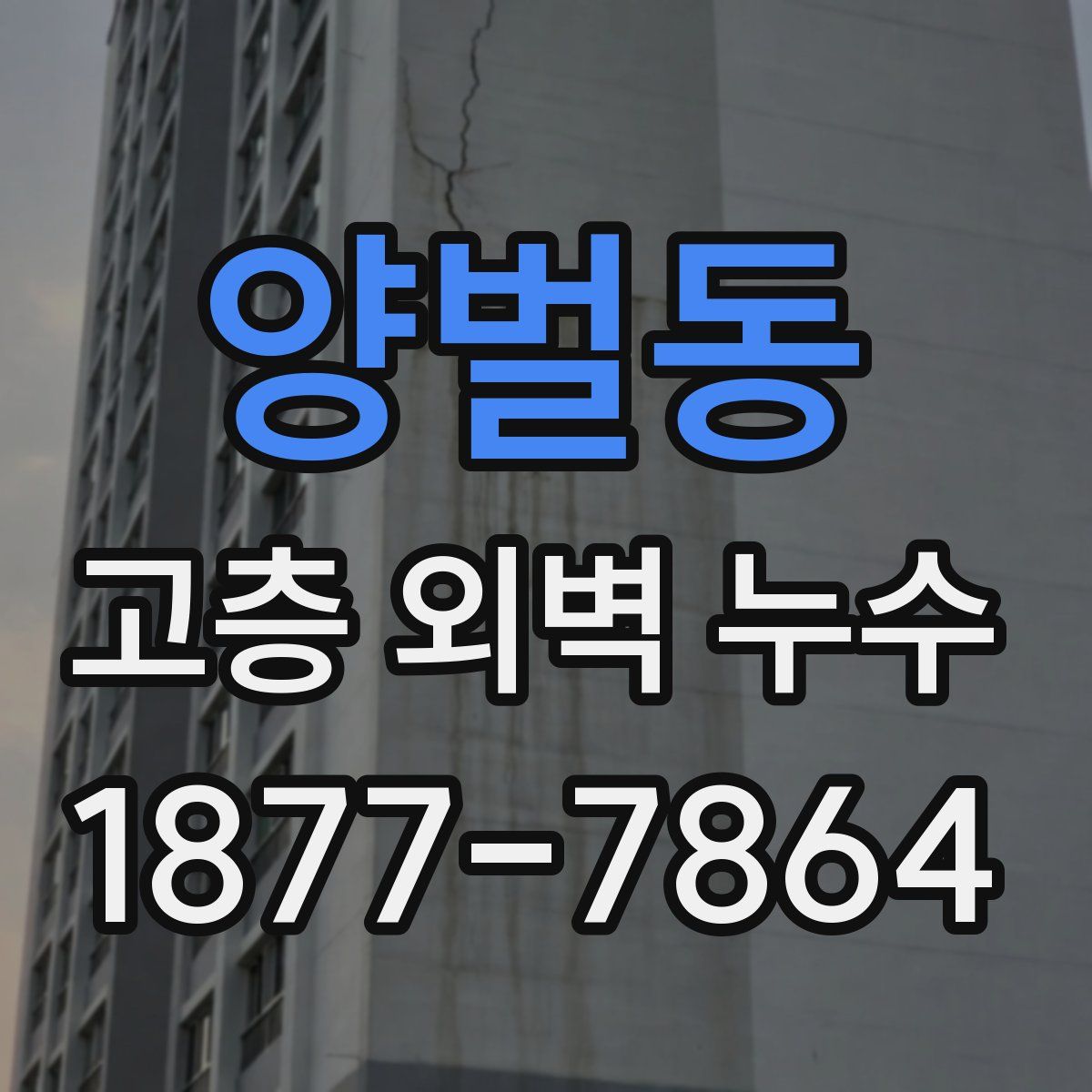 양벌동 고층 외벽 누수