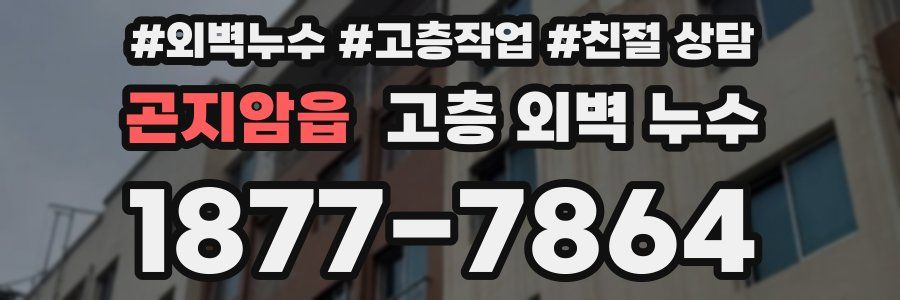 곤지암읍 고층 외벽 누수