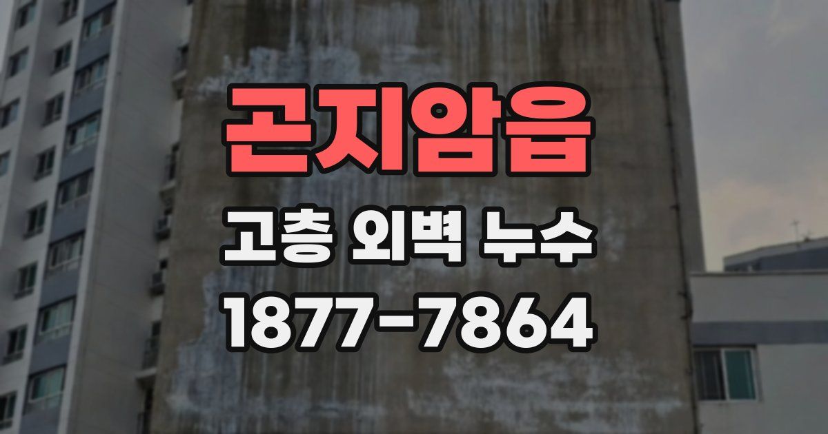 곤지암읍 고층 외벽 누수