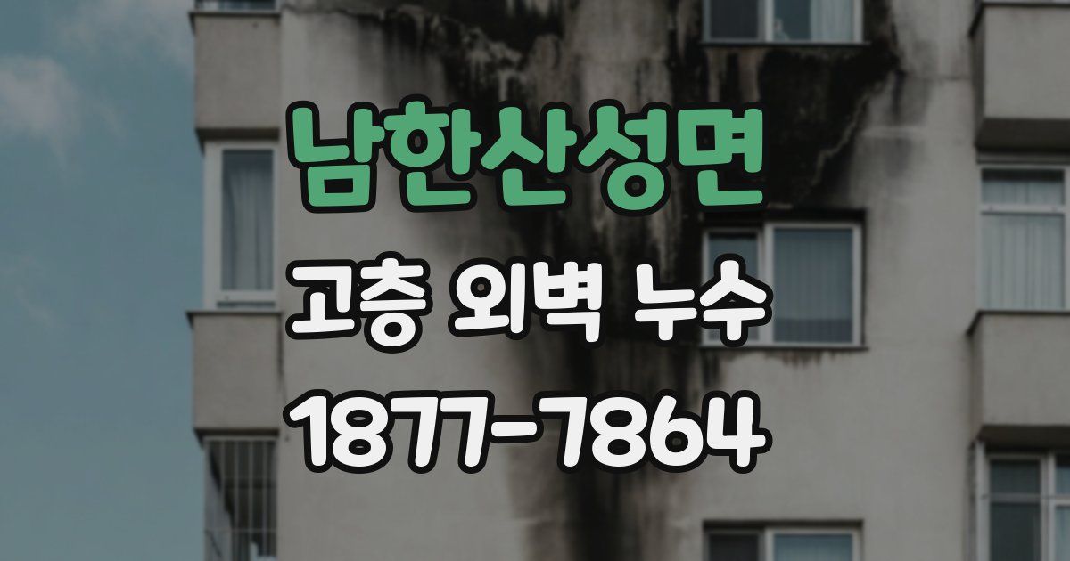 남한산성면 고층 외벽 누수