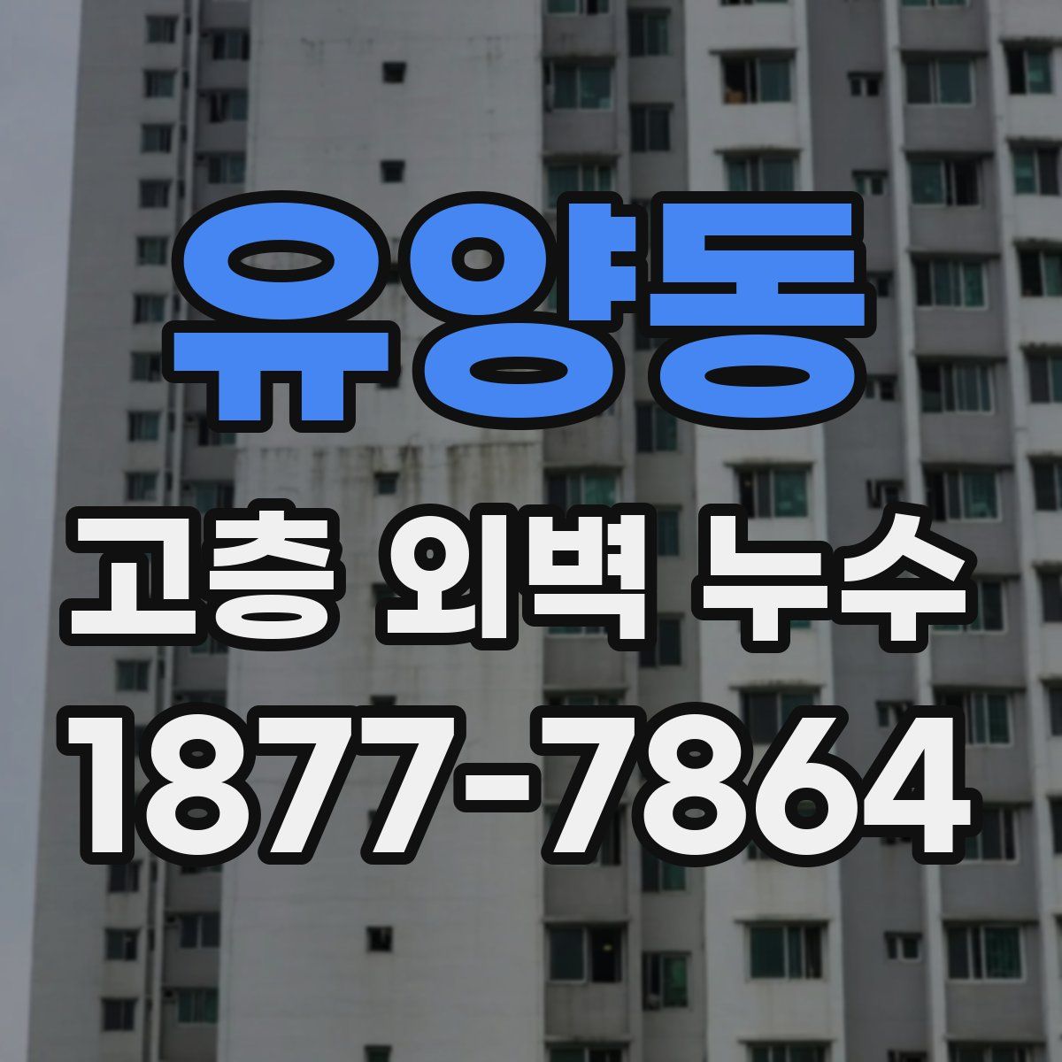 유양동 고층 외벽 누수