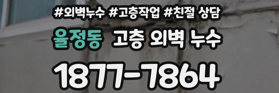 율정동 고층 외벽 누수