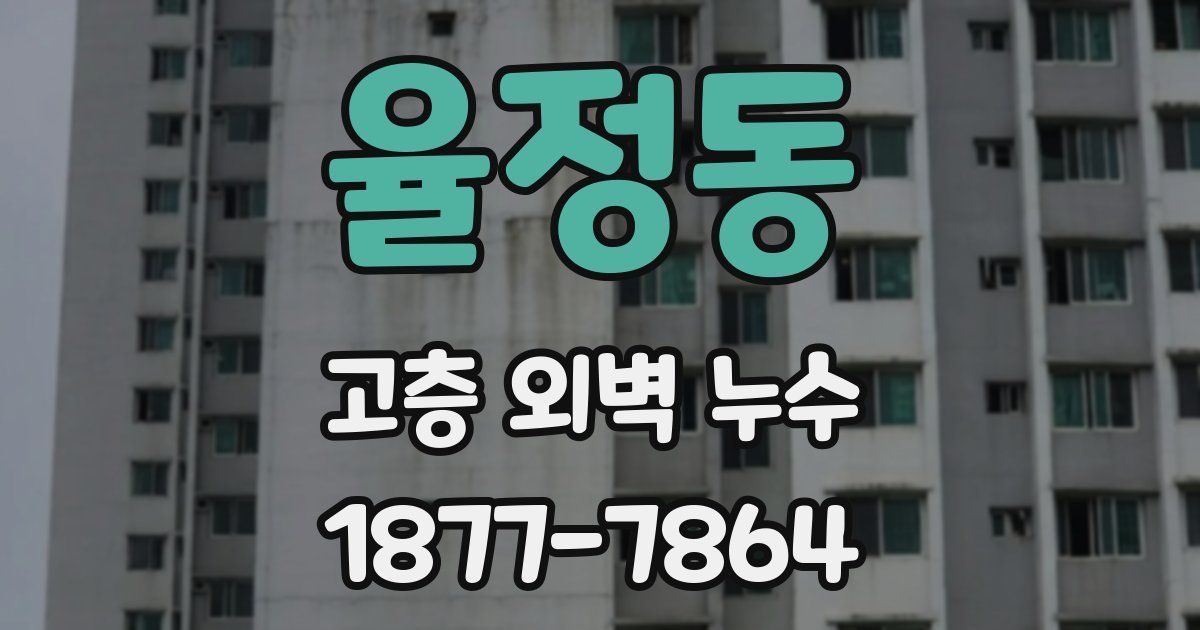 율정동 고층 외벽 누수
