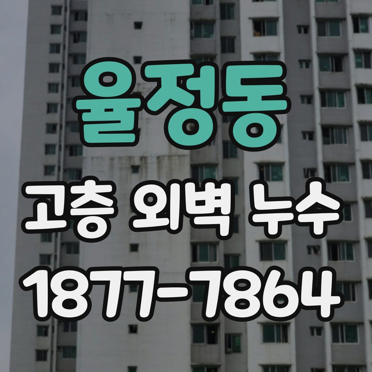 율정동 고층 외벽 누수